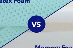 Latex vs Foam Mattress: Which Bed Wins? Safem Fabrication - Precision Engineering & Custom Manufacturing Solutions Latex vs Foam Mattress: Which Bed Wins? | Safem Fabrication - Precision Engineering & Custom Manufacturing Solutions