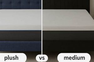 Plush vs Medium Mattress: Which is Best For You? Organic & Natural Mattress Buyer’s Guide: Non-Toxic Sleep Solutions Plush vs Medium Mattress: Which is Best For You? | Organic & Natural Mattress Buyer’s Guide: Non-Toxic Sleep Solutions