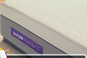 Purple vs Nectar Mattress: Which is Best [Year]? | Organic & Natural Mattress Buyer’s Guide: Non-Toxic Sleep Solutions