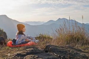 Folding Mattress vs Air Bed: Best for Guests? Organic & Natural Mattress Buyer’s Guide: Non-Toxic Sleep Solutions Folding Mattress vs Air Bed: Best for Guests? | Organic & Natural Mattress Buyer’s Guide: Non-Toxic Sleep Solutions