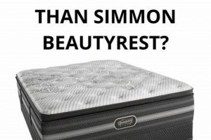Beautyrest vs Sealy: Which Mattress Wins? Organic & Natural Mattress Buyer’s Guide: Non-Toxic Sleep Solutions Beautyrest vs Sealy: Which Mattress Wins? | Organic & Natural Mattress Buyer’s Guide: Non-Toxic Sleep Solutions