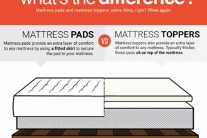 Mattress Pad vs Protector: Find the Best Bedding! Organic & Natural Mattress Buyer’s Guide: Non-Toxic Sleep Solutions Mattress Pad vs Protector: Find the Best Bedding! | Organic & Natural Mattress Buyer’s Guide: Non-Toxic Sleep Solutions