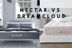 DreamCloud vs Nectar Mattress: Which Bed Wins? Organic & Natural Mattress Buyer’s Guide: Non-Toxic Sleep Solutions DreamCloud vs Nectar Mattress: Which Bed Wins? | Organic & Natural Mattress Buyer’s Guide: Non-Toxic Sleep Solutions