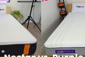 Nectar vs Purple Mattress: Which Bed is Best? Organic & Natural Mattress Buyer’s Guide: Non-Toxic Sleep Solutions Nectar vs Purple Mattress: Which Bed is Best? | Organic & Natural Mattress Buyer’s Guide: Non-Toxic Sleep Solutions