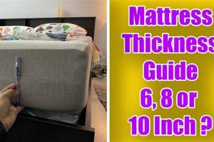 Mattress Depth: 6 Inch vs 8 Inch Mattress - Which Wins? Organic & Natural Mattress Buyer’s Guide: Non-Toxic Sleep Solutions Mattress Depth: 6 Inch vs 8 Inch Mattress - Which Wins? | Organic & Natural Mattress Buyer’s Guide: Non-Toxic Sleep Solutions