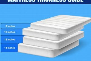 Choosing: 6 Inch Mattress vs 8 Inch? Which is Best? Organic & Natural Mattress Buyer’s Guide: Non-Toxic Sleep Solutions Choosing: 6 Inch Mattress vs 8 Inch? Which is Best? | Organic & Natural Mattress Buyer’s Guide: Non-Toxic Sleep Solutions