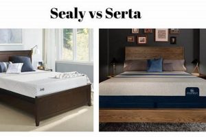 Sealy vs Serta Mattress: Which Bed Wins? Review & More Organic & Natural Mattress Buyer’s Guide: Non-Toxic Sleep Solutions Sealy vs Serta Mattress: Which Bed Wins? Review & More | Organic & Natural Mattress Buyer’s Guide: Non-Toxic Sleep Solutions