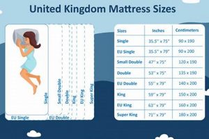 Euro vs US Mattress Sizes: Find Your Perfect Fit! Organic & Natural Mattress Buyer’s Guide: Non-Toxic Sleep Solutions Euro vs US Mattress Sizes: Find Your Perfect Fit! | Organic & Natural Mattress Buyer’s Guide: Non-Toxic Sleep Solutions