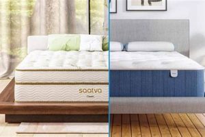 Bear vs Saatva Mattress: Which Bed is Best [Review]? | Organic & Natural Mattress Buyer’s Guide: Non-Toxic Sleep Solutions