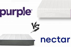 Purple vs Nectar Mattress: Which Bed Wins? Best Choice | Organic & Natural Mattress Buyer’s Guide: Non-Toxic Sleep Solutions