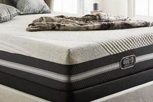 Simmons vs Sealy Mattress: Which Bed Wins? Organic & Natural Mattress Buyer’s Guide: Non-Toxic Sleep Solutions Simmons vs Sealy Mattress: Which Bed Wins? | Organic & Natural Mattress Buyer’s Guide: Non-Toxic Sleep Solutions