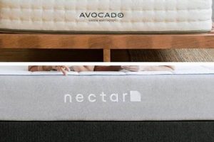 Avocado vs Nectar Mattress: Which Bed Wins? Review Organic & Natural Mattress Buyer’s Guide: Non-Toxic Sleep Solutions Avocado vs Nectar Mattress: Which Bed Wins? Review | Organic & Natural Mattress Buyer’s Guide: Non-Toxic Sleep Solutions