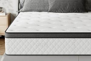 Best Twin Memory Foam Mattress 12 Inch for Quality Sleep Safem Fabrication - Precision Engineering & Custom Manufacturing Solutions Best Twin Memory Foam Mattress 12 Inch for Quality Sleep | Safem Fabrication - Precision Engineering & Custom Manufacturing Solutions