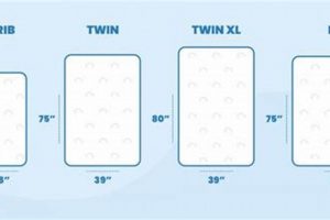 Toddler Bed Showdown: Size vs Twin Mattress Guide | Organic & Natural Mattress Buyer’s Guide: Non-Toxic Sleep Solutions