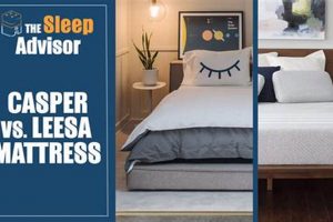 Leesa vs Casper Mattress: Which Bed is Best [2024]? | Organic & Natural Mattress Buyer’s Guide: Non-Toxic Sleep Solutions