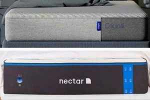 Casper vs Nectar Mattress: Which Bed Wins? Review! | Organic & Natural Mattress Buyer’s Guide: Non-Toxic Sleep Solutions