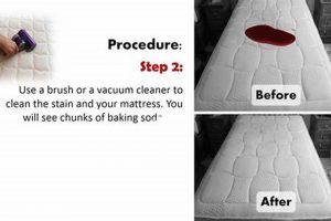 Easy How to Clean Blood Out of Mattress (Quick!) Organic & Natural Mattress Buyer’s Guide: Non-Toxic Sleep Solutions Easy How to Clean Blood Out of Mattress (Quick!) | Organic & Natural Mattress Buyer’s Guide: Non-Toxic Sleep Solutions