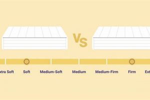 Choosing Soft vs Firm Mattress? Find Your Perfect Sleep! Organic & Natural Mattress Buyer’s Guide: Non-Toxic Sleep Solutions Choosing Soft vs Firm Mattress? Find Your Perfect Sleep! | Organic & Natural Mattress Buyer’s Guide: Non-Toxic Sleep Solutions