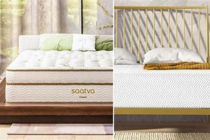 Saatva vs Leesa Mattress: Which Bed Wins? [2024] | Organic & Natural Mattress Buyer’s Guide: Non-Toxic Sleep Solutions