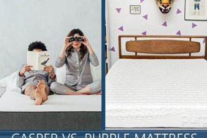 Casper vs Purple Mattress: Which is Best For YOU? Organic & Natural Mattress Buyer’s Guide: Non-Toxic Sleep Solutions Casper vs Purple Mattress: Which is Best For YOU? | Organic & Natural Mattress Buyer’s Guide: Non-Toxic Sleep Solutions