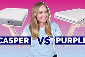 Purple vs Casper Mattress: Which Bed Wins? Organic & Natural Mattress Buyer’s Guide: Non-Toxic Sleep Solutions Purple vs Casper Mattress: Which Bed Wins? | Organic & Natural Mattress Buyer’s Guide: Non-Toxic Sleep Solutions