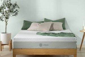 Zinus Green Tea vs Allswell: Mattress Showdown! | Organic & Natural Mattress Buyer’s Guide: Non-Toxic Sleep Solutions