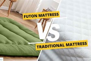 Futon vs Mattress: Which Bed is Best For You? | Organic & Natural Mattress Buyer’s Guide: Non-Toxic Sleep Solutions