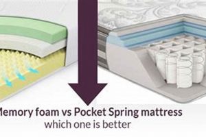 Foam vs Spring: Choosing Your Best Mattress | Organic & Natural Mattress Buyer’s Guide: Non-Toxic Sleep Solutions