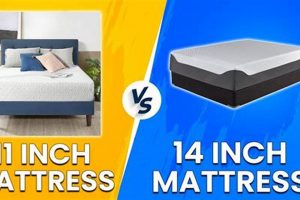 Mattress Showdown: 11" vs 14" Inch - Which is Better? | Organic & Natural Mattress Buyer’s Guide: Non-Toxic Sleep Solutions