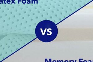 Latex vs Memory Foam Mattress: Which Bed is Best? | Organic & Natural Mattress Buyer’s Guide: Non-Toxic Sleep Solutions