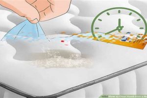 Mattress Mess? How to Clean Vomit (Quick Guide) Organic & Natural Mattress Buyer’s Guide: Non-Toxic Sleep Solutions Mattress Mess? How to Clean Vomit (Quick Guide) | Organic & Natural Mattress Buyer’s Guide: Non-Toxic Sleep Solutions