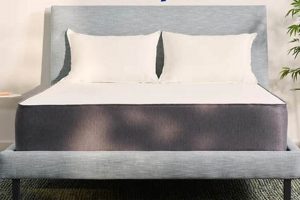 Casper vs Puffy Mattress: Which Bed Wins? | Organic & Natural Mattress Buyer’s Guide: Non-Toxic Sleep Solutions