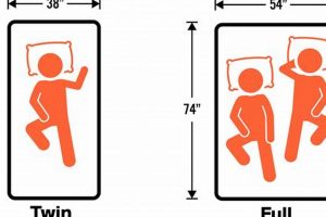 Twin vs Full: Find Your Perfect Mattress Size! | Organic & Natural Mattress Buyer’s Guide: Non-Toxic Sleep Solutions