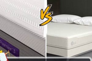 Purple vs. Sleep Number: The Mattress Showdown (2024) Organic & Natural Mattress Buyer’s Guide: Non-Toxic Sleep Solutions Purple vs. Sleep Number: The Mattress Showdown (2024) | Organic & Natural Mattress Buyer’s Guide: Non-Toxic Sleep Solutions
