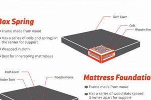 Mattress Base vs Box Spring: Which is Better For You? | Organic & Natural Mattress Buyer’s Guide: Non-Toxic Sleep Solutions