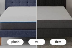 Plush vs Firm Mattress: Which Bed is Best FOR YOU? | Organic & Natural Mattress Buyer’s Guide: Non-Toxic Sleep Solutions