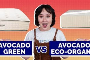 My Green Mattress vs Avocado: Which Mattress is Best For You? | Organic & Natural Mattress Buyer’s Guide: Non-Toxic Sleep Solutions