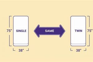 Single vs Twin Mattress: Which Size Bed is Best? Organic & Natural Mattress Buyer’s Guide: Non-Toxic Sleep Solutions Single vs Twin Mattress: Which Size Bed is Best? | Organic & Natural Mattress Buyer’s Guide: Non-Toxic Sleep Solutions