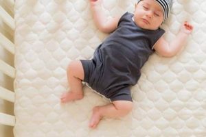 Best Organic Crib Mattress Pad [Guide + Reviews] | Organic & Natural Mattress Buyer’s Guide: Non-Toxic Sleep Solutions