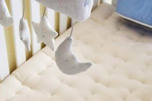 Best Organic Cotton Crib Mattress: Safe Sleep Starts Here Organic & Natural Mattress Buyer’s Guide: Non-Toxic Sleep Solutions Best Organic Cotton Crib Mattress: Safe Sleep Starts Here | Organic & Natural Mattress Buyer’s Guide: Non-Toxic Sleep Solutions