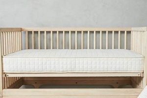 Finding the Best Crib Mattress: [Year] Guide & Reviews | Organic & Natural Mattress Buyer’s Guide: Non-Toxic Sleep Solutions