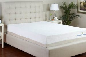 Why a Latex Foam Mattress? Comfort & Support Safem Fabrication - Precision Engineering & Custom Manufacturing Solutions Why a Latex Foam Mattress? Comfort & Support | Safem Fabrication - Precision Engineering & Custom Manufacturing Solutions