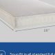 Sealy 2 Stage Crib Mattress: Safe Sleep for Your Baby! | Organic & Natural Mattress Buyer’s Guide: Non-Toxic Sleep Solutions