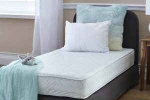 Best Sealy Crib Mattress: Safe Sleep Starts Here! Organic & Natural Mattress Buyer’s Guide: Non-Toxic Sleep Solutions Best Sealy Crib Mattress: Safe Sleep Starts Here! | Organic & Natural Mattress Buyer’s Guide: Non-Toxic Sleep Solutions