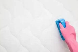 Pillow Top Perfection: How to Clean Your Mattress Easily Safem Fabrication - Precision Engineering & Custom Manufacturing Solutions Pillow Top Perfection: How to Clean Your Mattress Easily | Safem Fabrication - Precision Engineering & Custom Manufacturing Solutions