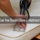 Mattress Cleaning: Can You Carpet Clean A Mattress Safely? | Organic & Natural Mattress Buyer’s Guide: Non-Toxic Sleep Solutions