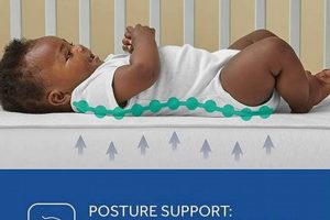 Best Sealy Cozy Rest Crib Mattress: Baby's Sleep! Organic & Natural Mattress Buyer’s Guide: Non-Toxic Sleep Solutions Best Sealy Cozy Rest Crib Mattress: Baby's Sleep! | Organic & Natural Mattress Buyer’s Guide: Non-Toxic Sleep Solutions