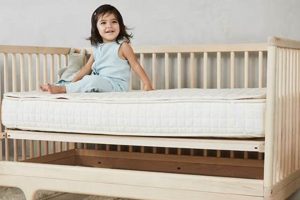 Best Avocado Organic Crib Mattress [Safe Sleep] | Organic & Natural Mattress Buyer’s Guide: Non-Toxic Sleep Solutions
