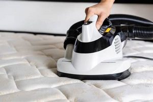 Can You Clean a Mattress with Carpet Cleaner? + Tips! | Organic & Natural Mattress Buyer’s Guide: Non-Toxic Sleep Solutions