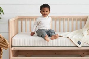 Best Avocado Crib Mattress [Guide] for Baby Sleep! | Organic & Natural Mattress Buyer’s Guide: Non-Toxic Sleep Solutions